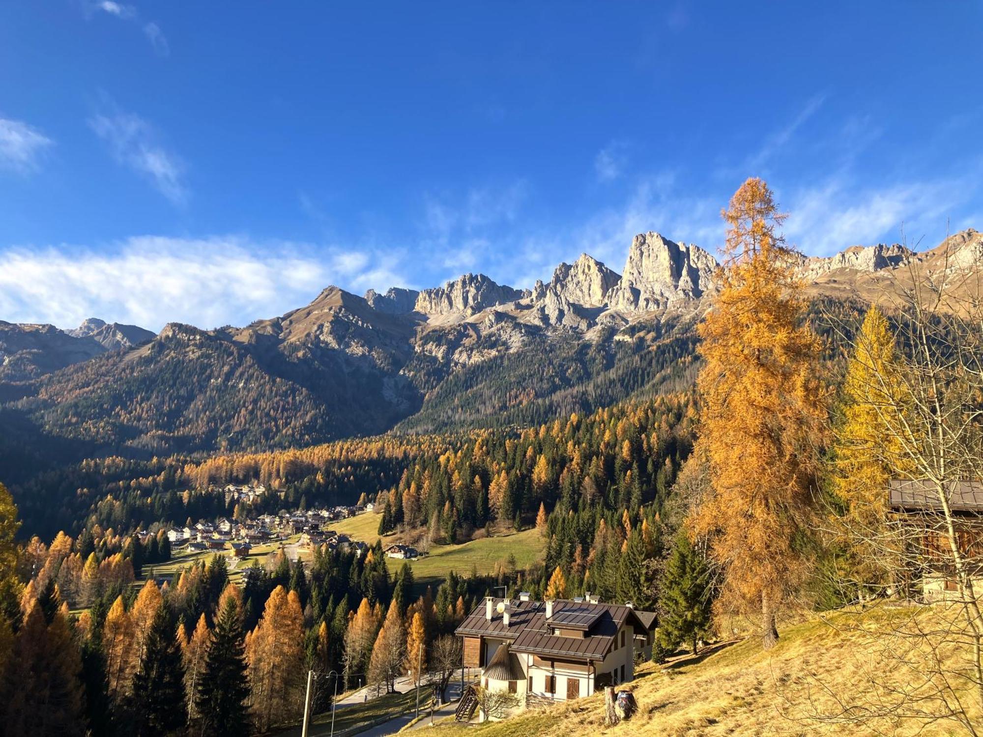 Appartamento Dolomiti Dream 1 Falcade Exterior photo